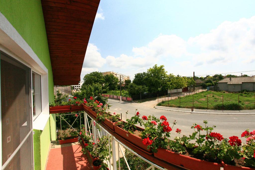 Casa Nelu Pescaru Hotel Mahmudia Kültér fotó