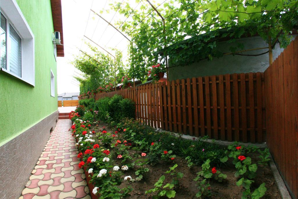Casa Nelu Pescaru Hotel Mahmudia Kültér fotó