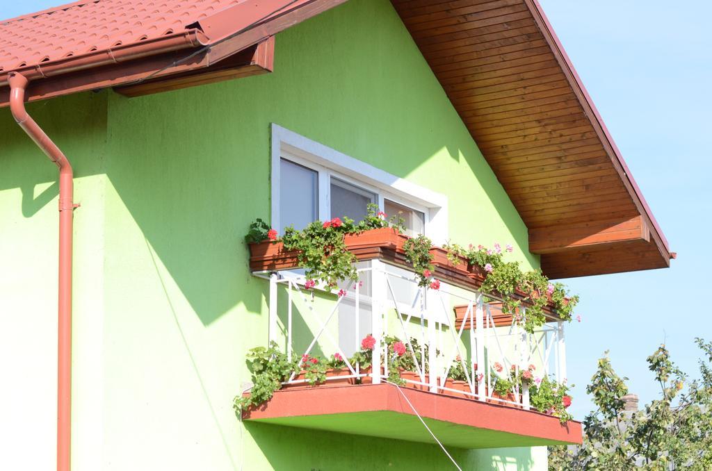 Casa Nelu Pescaru Hotel Mahmudia Kültér fotó