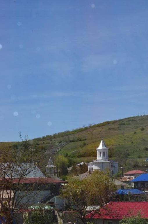 Casa Nelu Pescaru Hotel Mahmudia Kültér fotó